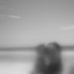 Meet your Posher, Shayna